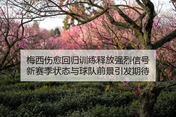 梅西伤愈回归训练释放强烈信号 新赛季状态与球队前景引发期待